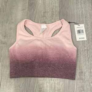 AYBL Pulse Ombré Seamless Plum Sports Bra Size Medium